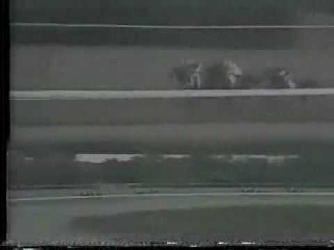 Copa Confraternidad del Caribe 1995