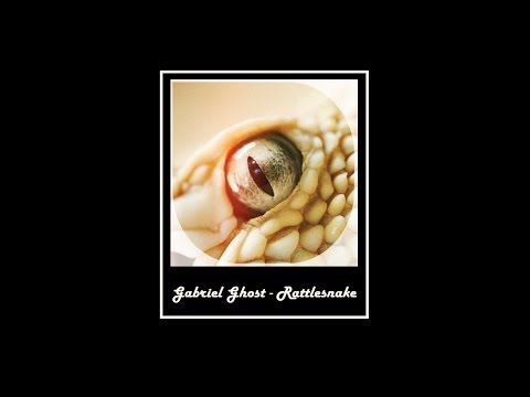Gabriel Ghost - RATTLESNAKE (original mix)