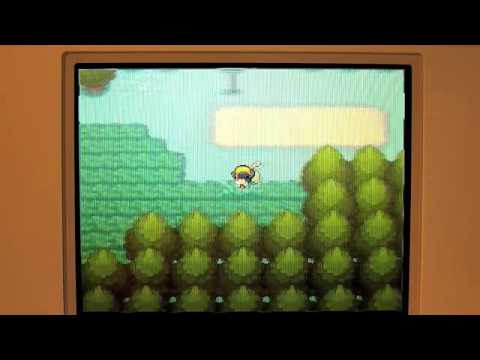 Pokemon HeartGold Shiny Starter - 1817 soft-resets; 5451 starters