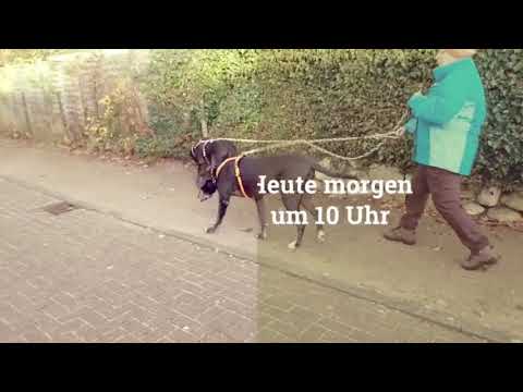 Morgens um zehn in Quickborn