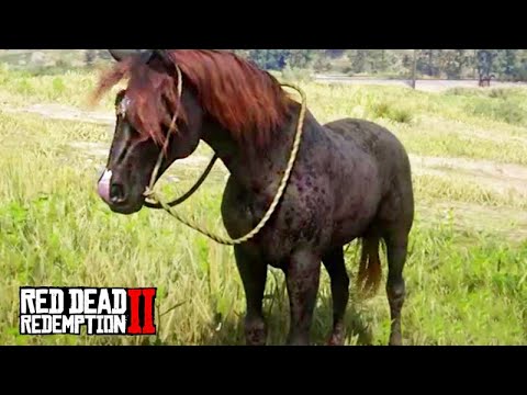 25 - I tamed the FIRE HORSE and collected DEBT from debtors - THE HORSE TAMER