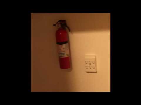 1113 S. Paula Fullerton