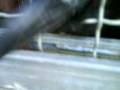 MOV00900