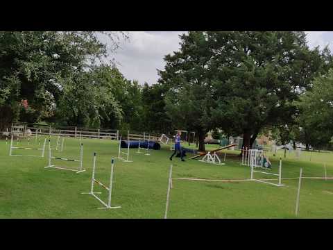 Picabo USDAA Advanced Gamblers 1  7/5/20