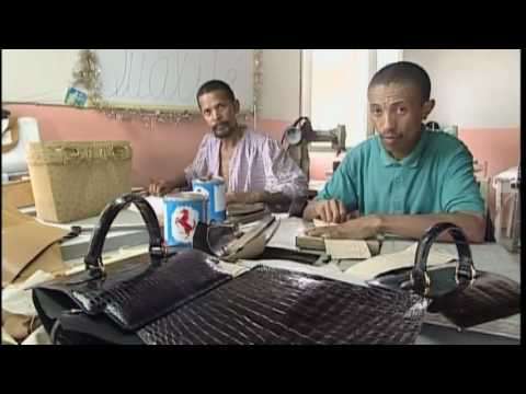 Histoires d'îles - Magadascar