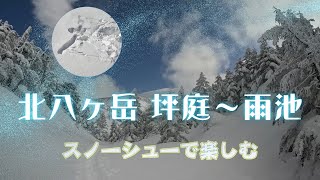 【北八ヶ岳 登山 ハイキング】スノーシュー登山 北八ヶ岳