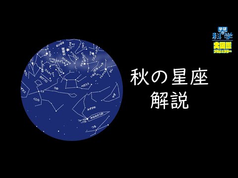 秋の路地。