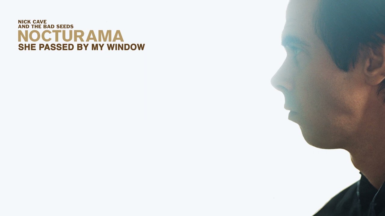 Nick Cave - She Passed by My Window
