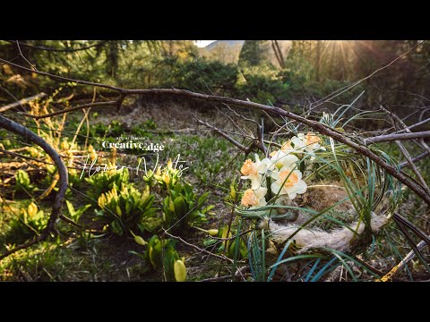 FLOWER NESTS / Creative Edge April 2021 Article Now Available!