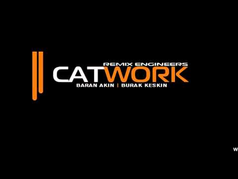 Catwork Remix Engineers - Insomnia