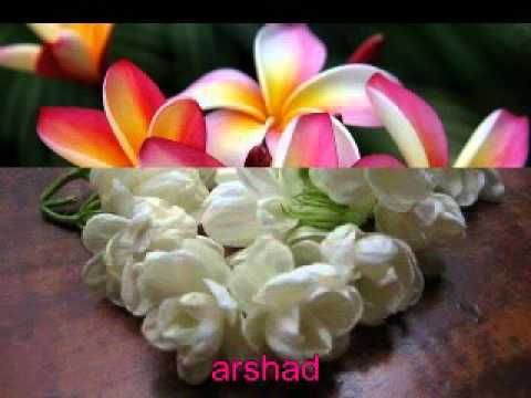 Deyna Dure Soriye Amai Kachheo Tanena_Bashir Ahmed.