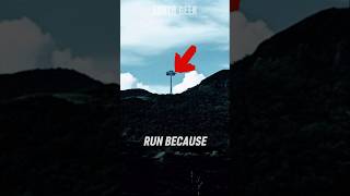 If You See this Tree You are in Trouble