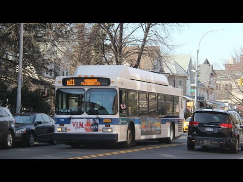 B11 Bus Time