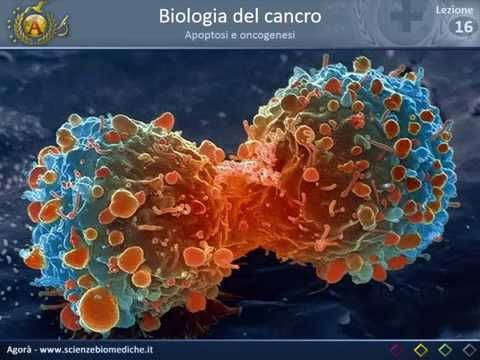 Parassiti di carbonato di sodio della persona di video A quale dottore rivolgersi se i vermi al bambino