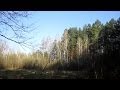 Релаксация. Весна. Звуки Леса. Пение Птиц (Peace. Relax. Nature Sounds) 