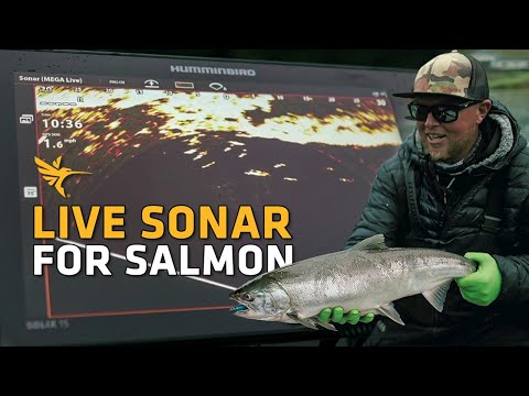 Catching Salmon with MEGA Live Imaging | Live Sonar Salmon Fishing