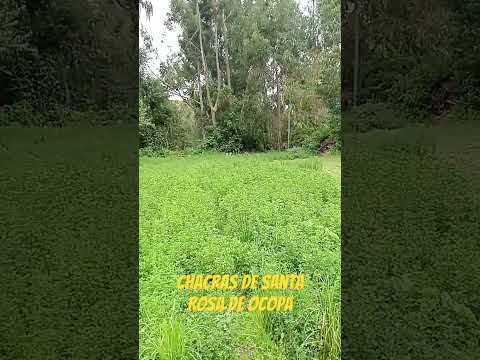 Chacras de Santa Rosa de Ocopa