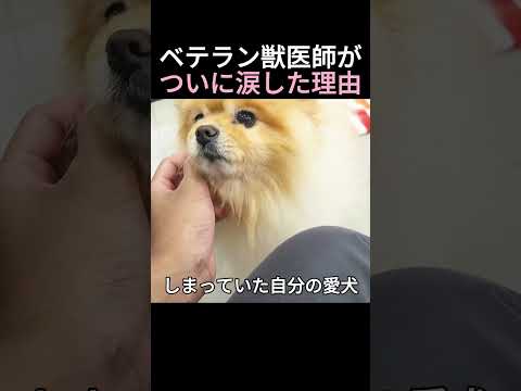 ベテラン獣医師がついに涙した理由