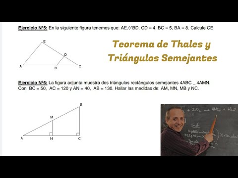Thales' Theorem and Similar Triangles