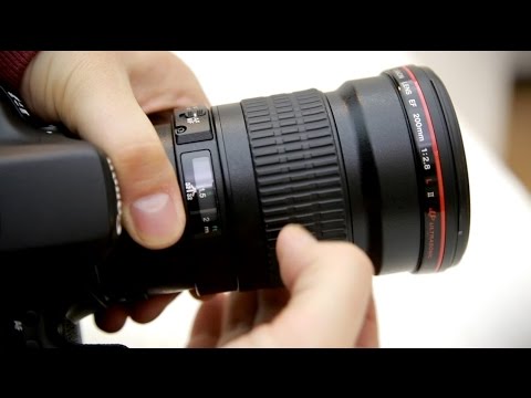 Testbericht zum Canon 200mm f/2.8 USM 'L' II Objektiv mit Beispielaufnahmen (Vollformat und APS-C)