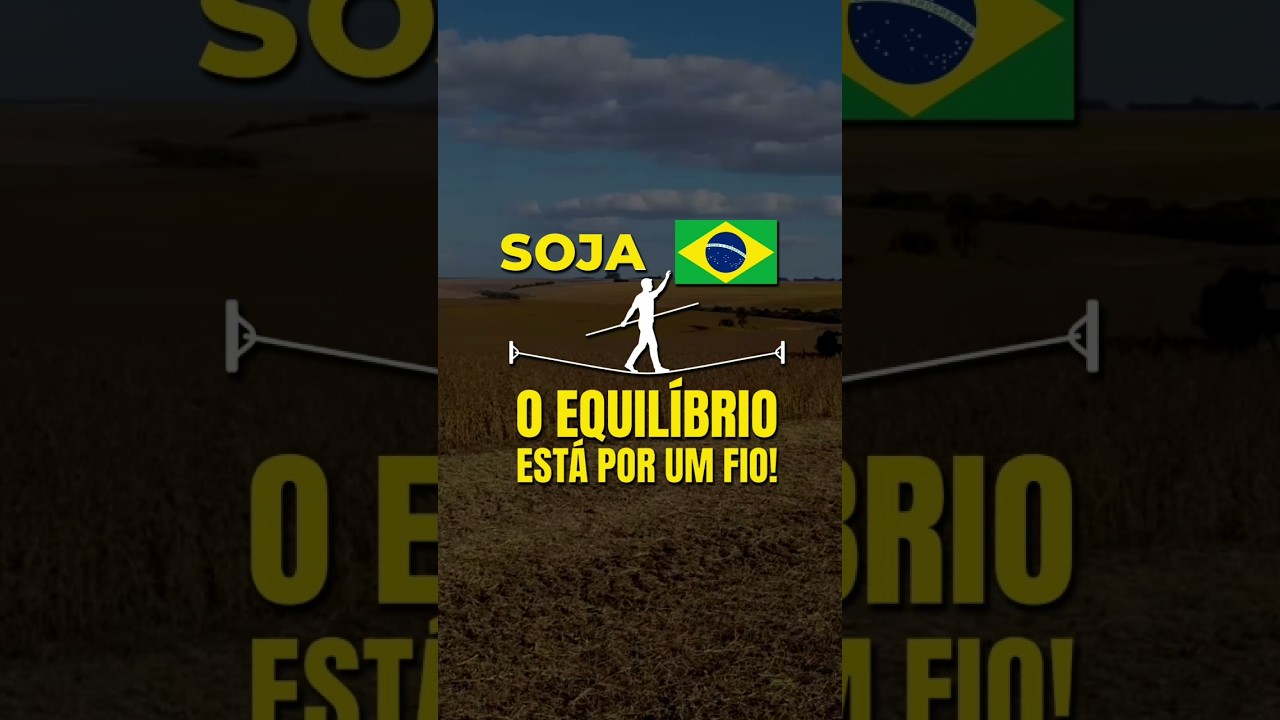 SOJA BRASIL: O EQUILÍBRIO ESTÁ POR UM FIO!