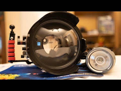 Erfahrungsbericht 1 Jahr Ikelite und Sony Alpha 7iii - Unterwassergehäuse für  A7iii / A7riii