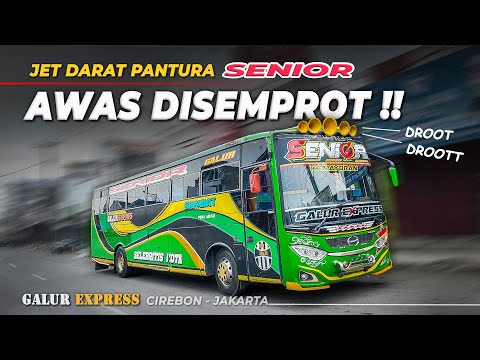 𝗔𝗪𝗔𝗦 𝗗𝗜𝗦𝗘𝗠𝗣𝗥𝗢𝗧 𝗦𝗘𝗡𝗜𝗢𝗥 ‼️ Pantura Bus Cirebon Jakarta PO Sahabat Bumel Non AC