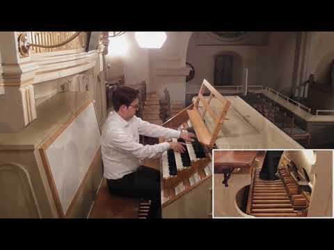 Max Reger: Fantasie und Fuge über B-A-C-H op. 46 (1)