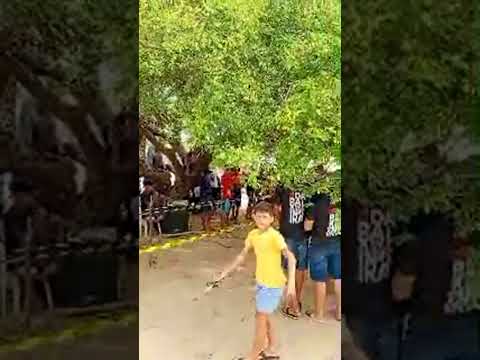 torneio de baladeira sítio mardancaru salitre ceará