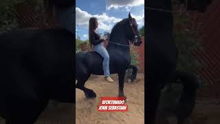 Afortunado - Joan Sebastian