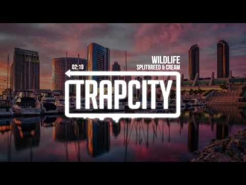Splitbreed & Cream - Wildlife