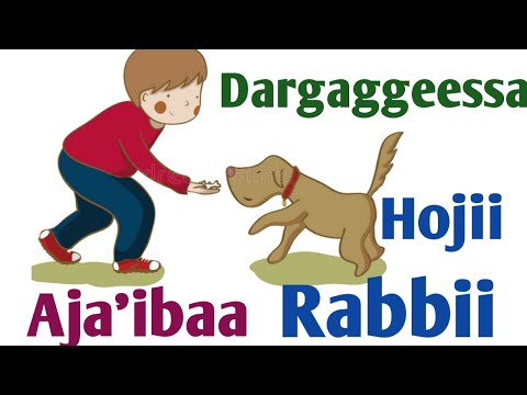Dargaggeessa Ajaa'ibaa fi Hojii Rabbii