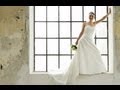 Perfect Wedding Backdrops