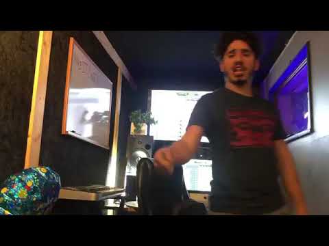 Arab falcon is a beast