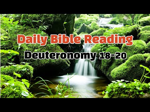 ✝️King James Bible 🔥 Deuteronomy 18-20 🔥 Daily Bible Reading✝️
