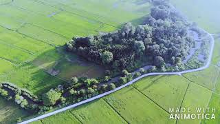 preview picture of video 'Bendang (paddy fields) di Kedah guna drone'