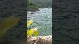 ILHA GRANDE - Angra dos Reis #shorts