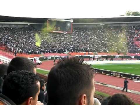 zvezda - partizan