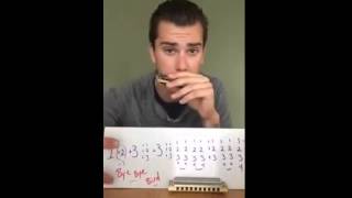 Sonny Boy Williamson - Bye Bye Bird intro - tab + breakdown