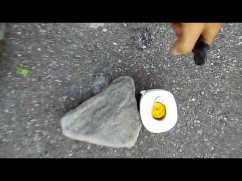 download lagu mp3 mp4 Grammium, download lagu Grammium gratis, unduh video klip Grammium