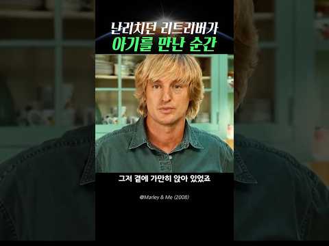 사고만 치던 리트리버가 아기를 만난 순간