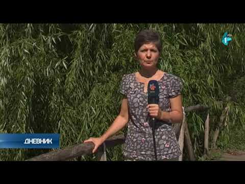 Plazović - reka koja ne priznaje granice