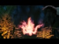 Пока цветёт Папоротник / Magic effects / Trigraph studio 