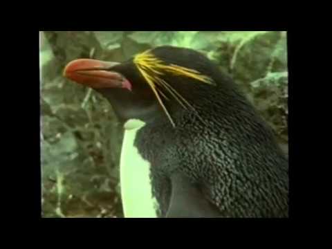 angst - Love (ft. FIFTY GRAND)