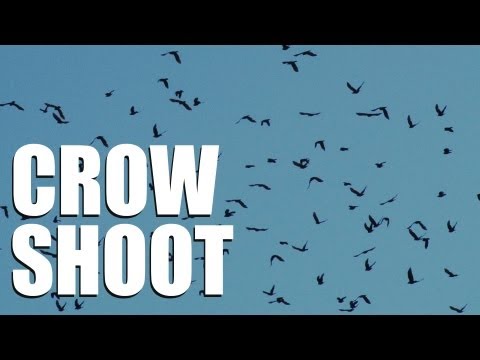 Crow shooting with Andy Crow (CrowHow Ep2)