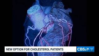 FDA approves new cholesterol-lowering pill for adults with high LDL levels