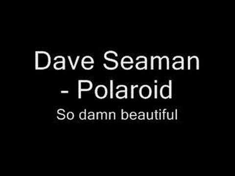 Dave Seaman (Polaroid) - So damn beautiful