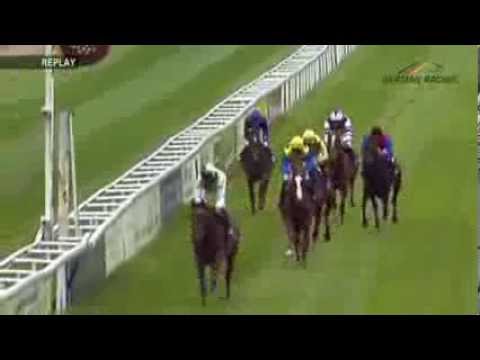 Preis des Porsche Zentrum Köln