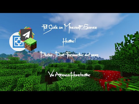 Ultimate Guide to Hosting Minecraft Server!