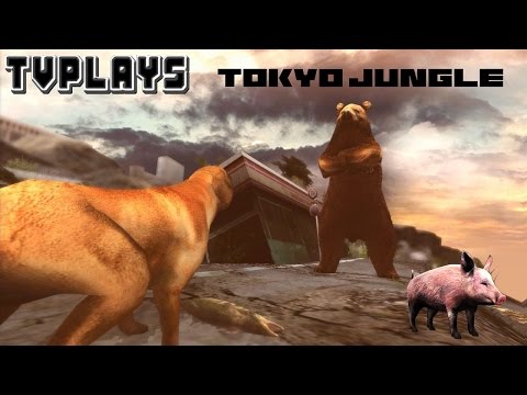 Let's Play Tokyo Jungle - Pig Run